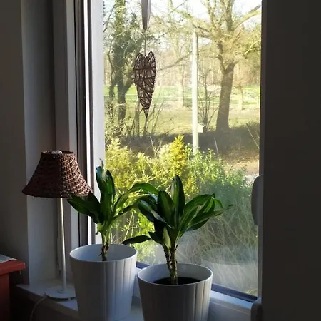 Gaestehaus Hoelting Homestay *