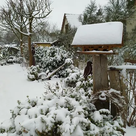 Homestay szállás Gaestehaus Hoelting Luebberstedt