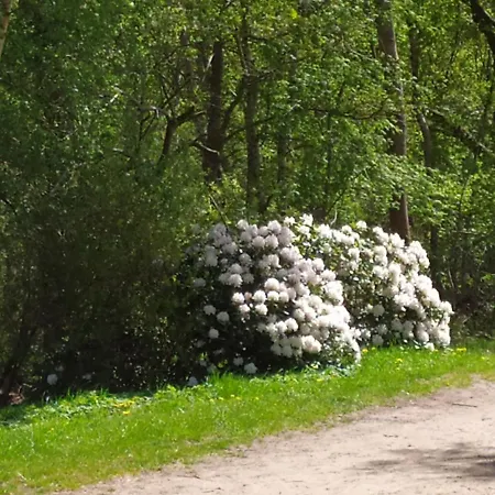 Gaestehaus Hoelting * Lubberstedt