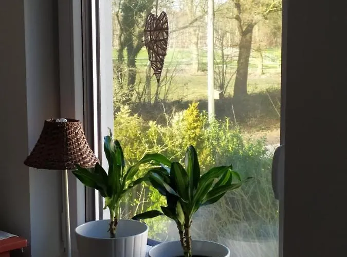 Gaestehaus Hoelting 民宿 *