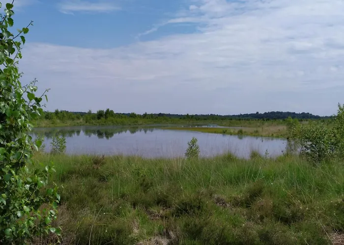 民宿 Gaestehaus Hoelting *