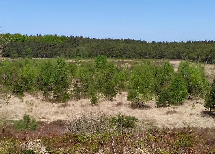 民宿 Gaestehaus Hoelting