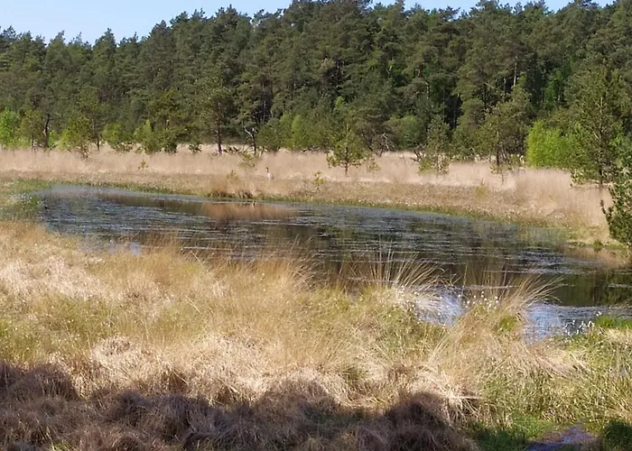 Gaestehaus Hoelting 民宿