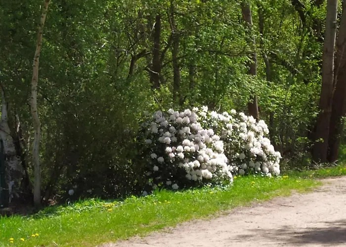 Gaestehaus Hoelting * Lubberstedt