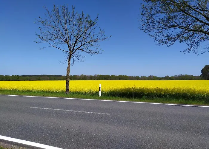 Gaestehaus Hoelting 民宿 *