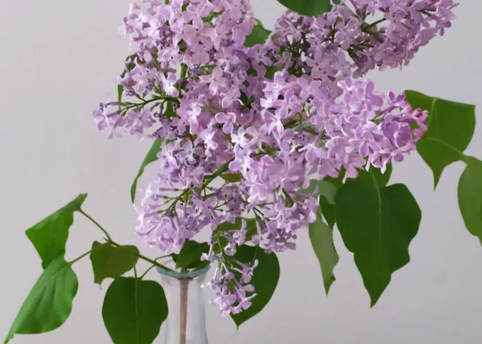 民宿 Gaestehaus Hoelting Lubberstedt